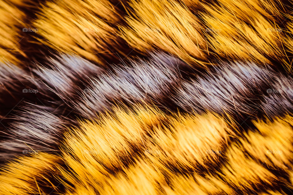 Fur