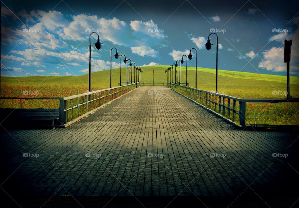 Pier Into The Poppies