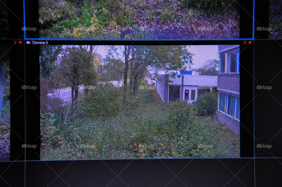 Security Camera Monitor