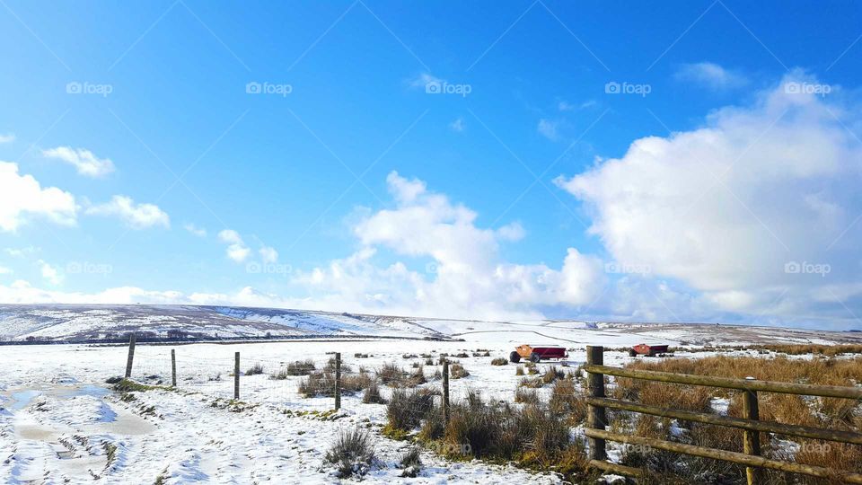 snowy field