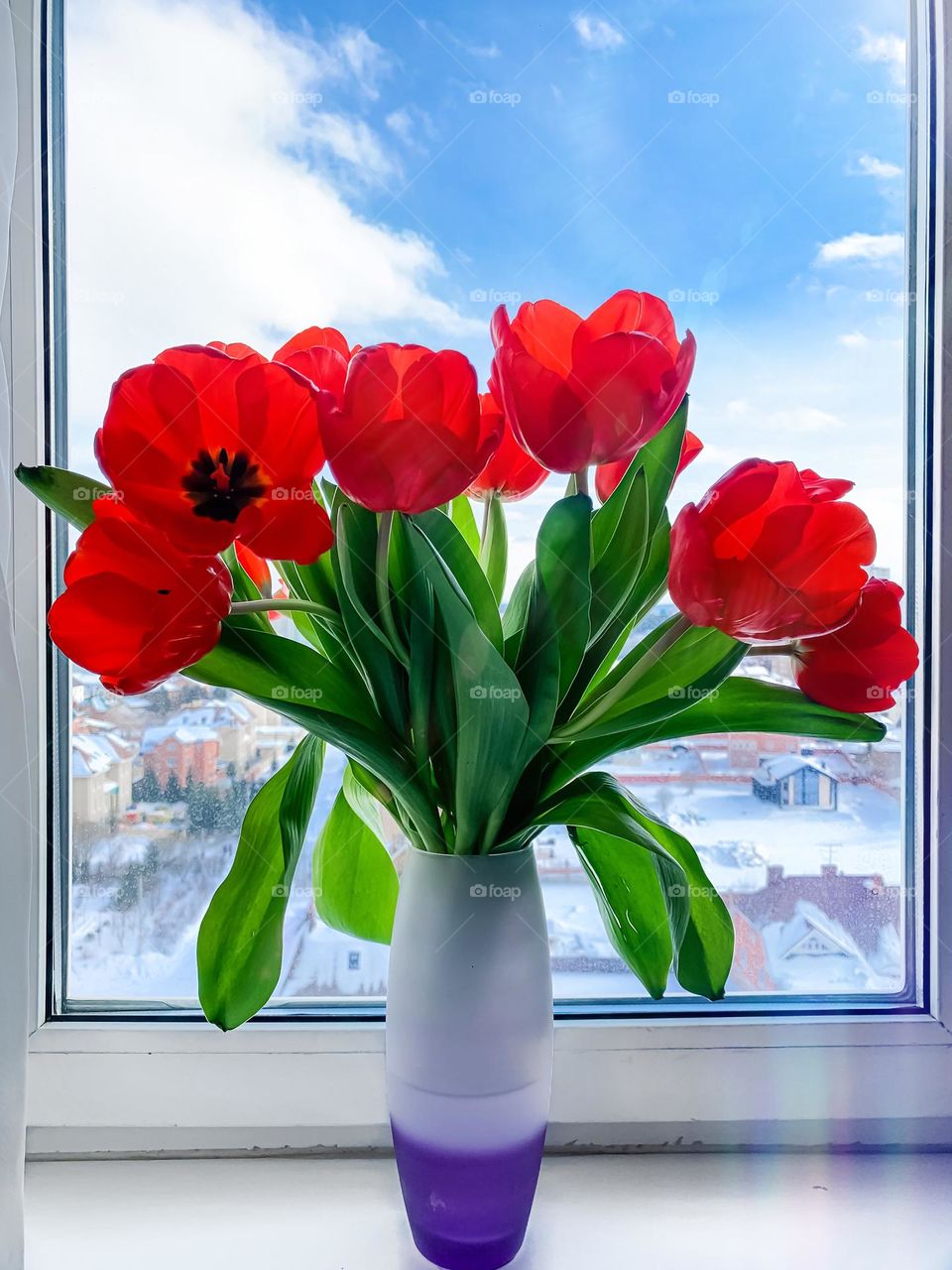 mobile photo of plants, tulips in a vase on the window