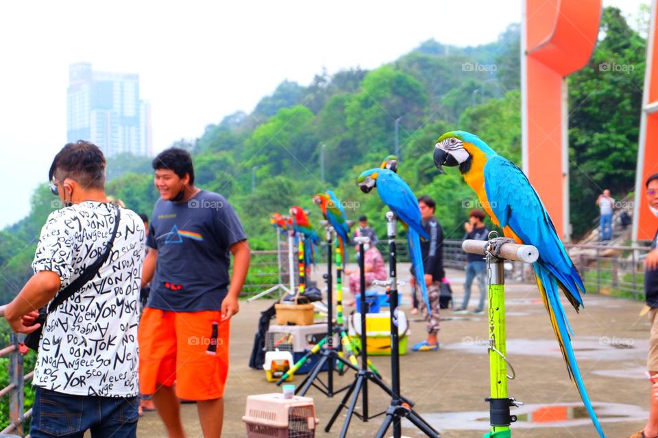 Are you ready to fly?