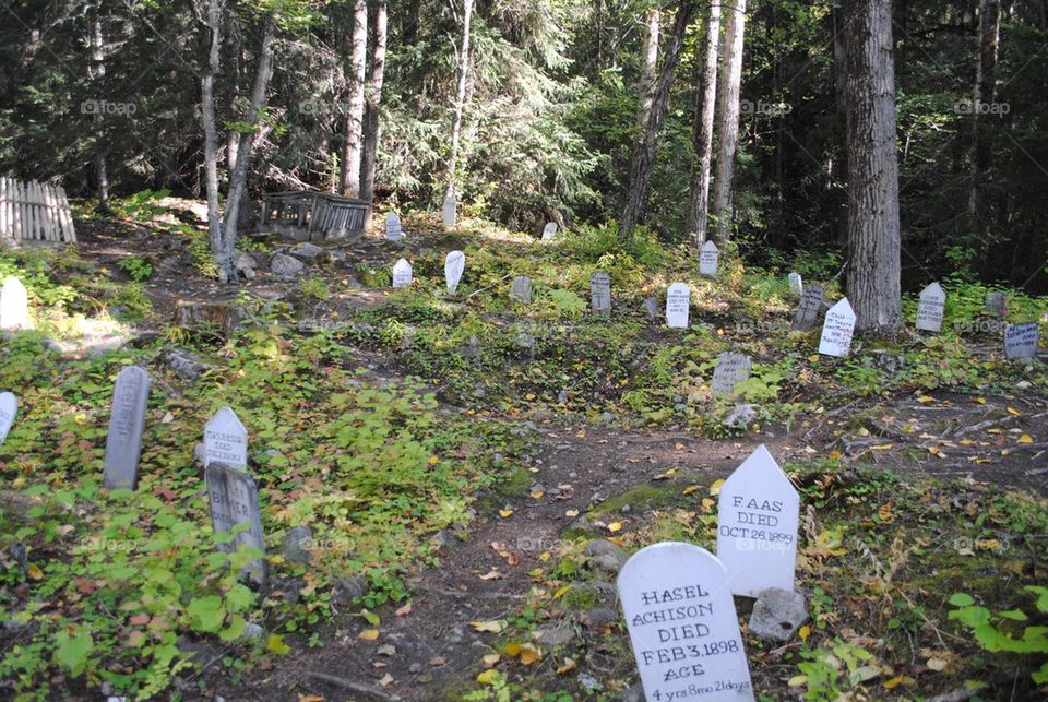 Old cemetery 