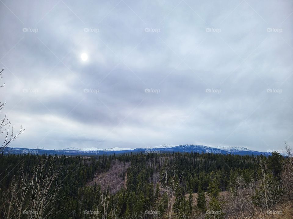 Overlooking the ridge