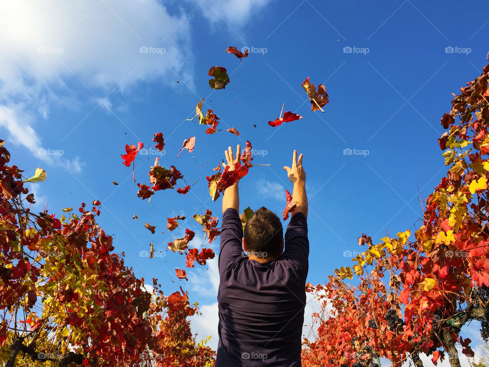 Men throwing autumn leafs