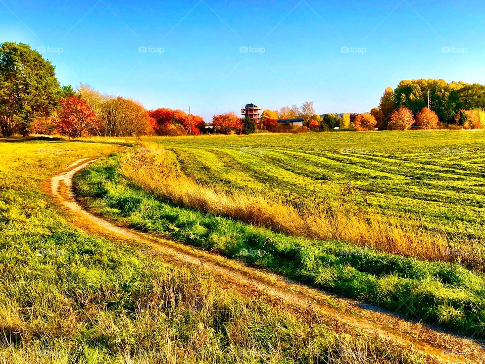 autumn colours in a rural pasture 