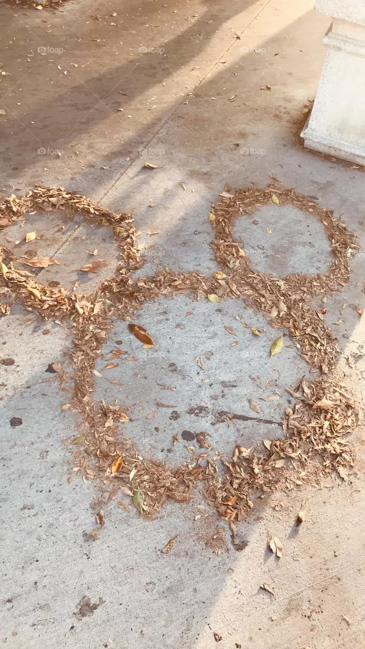 Mickey Mouse leafs 