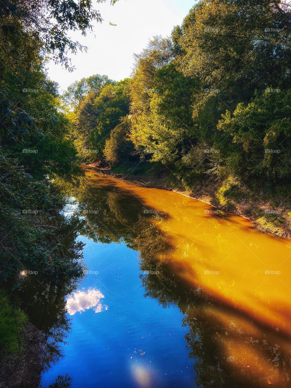 A view of Big Black River as it flows towards the Mississippi River.