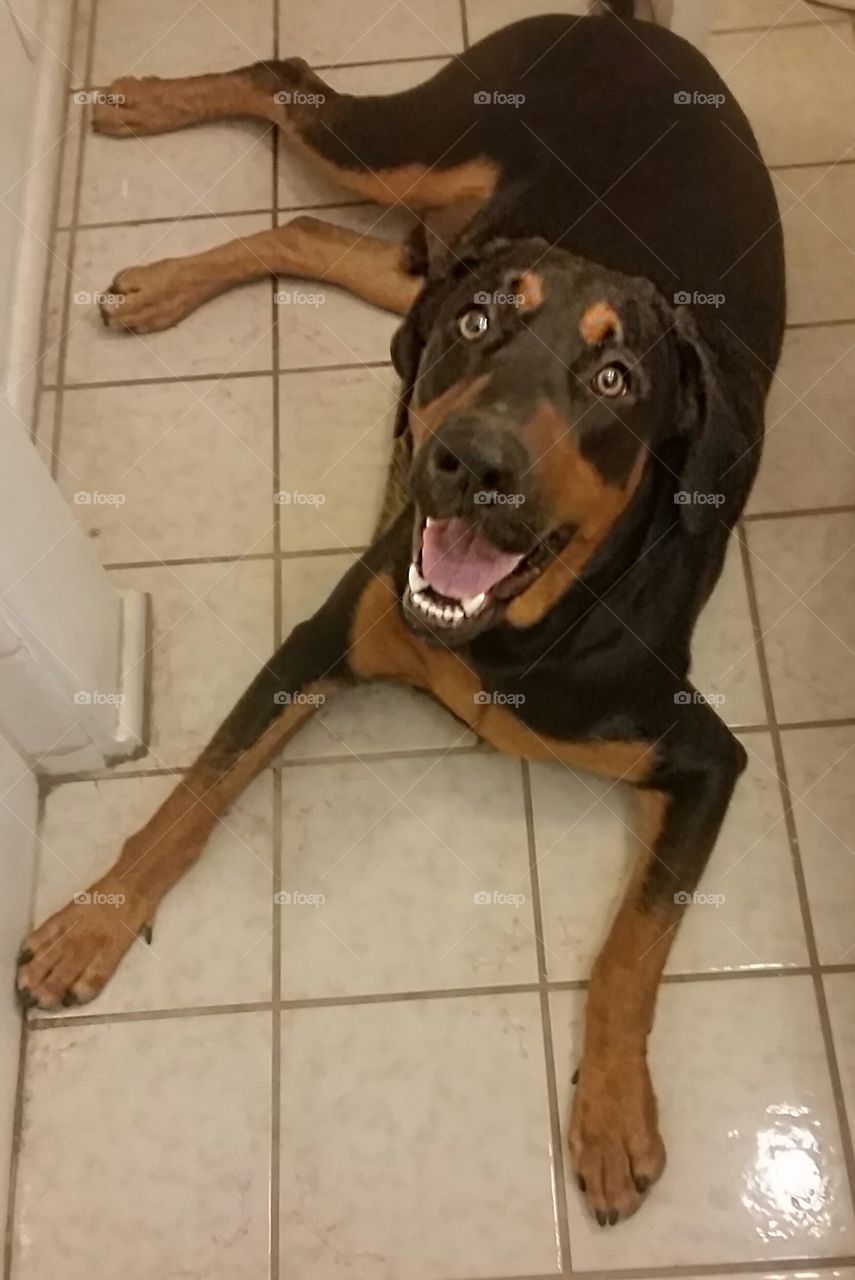 Angus smiling. waiting for me to get out of shower