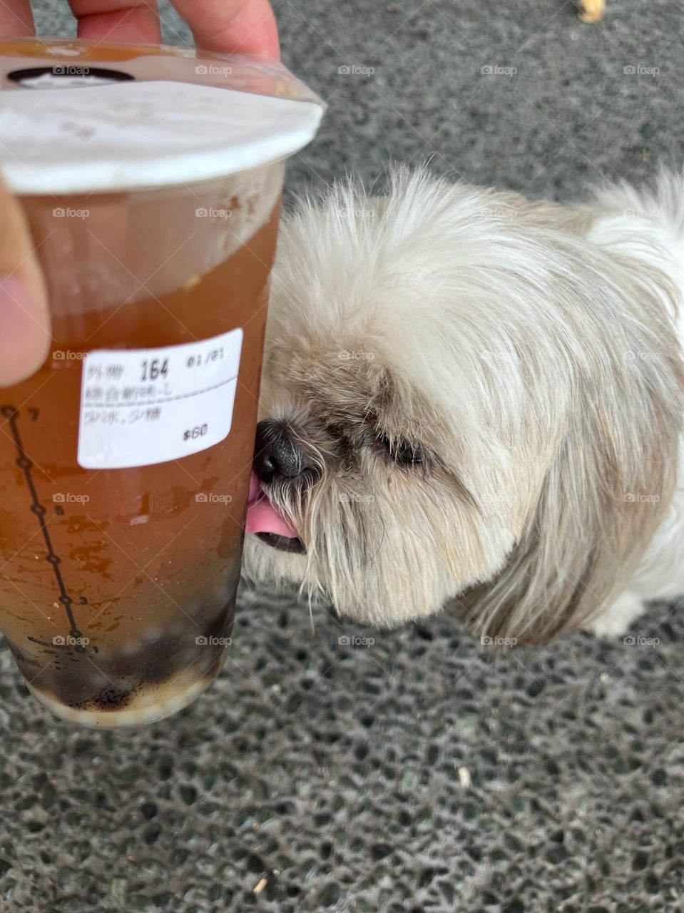 bubble tea