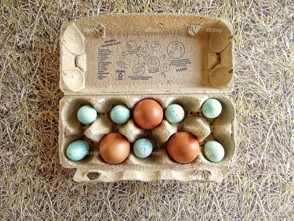 Colored eggs in a egg carton