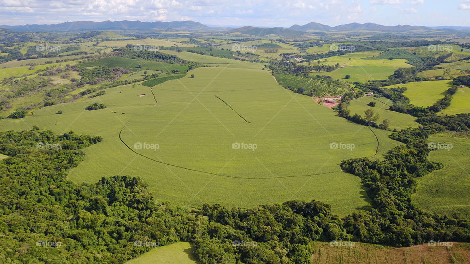 Aerial view of green landscape