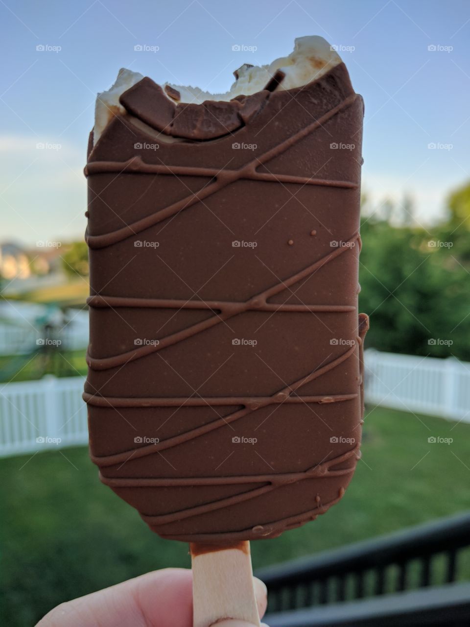 Tasty chocolate-covered ice cream bar