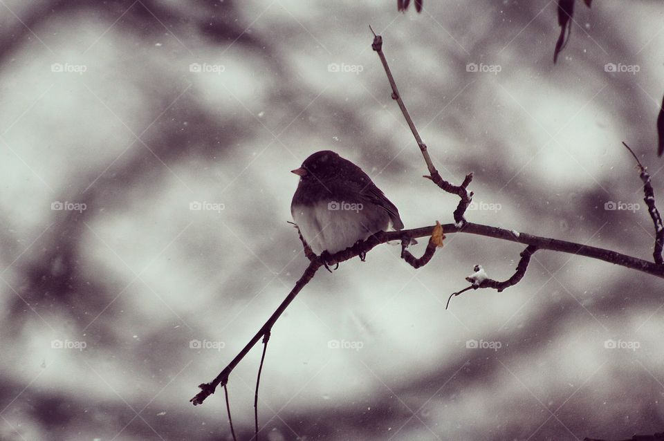 Still moment in life
