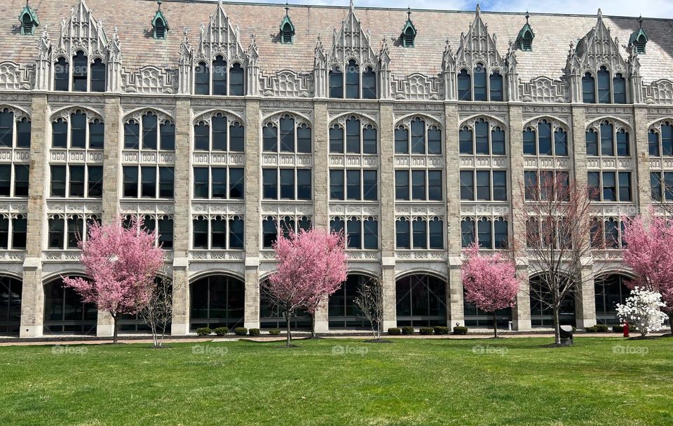 Rows of Windows and Columns 