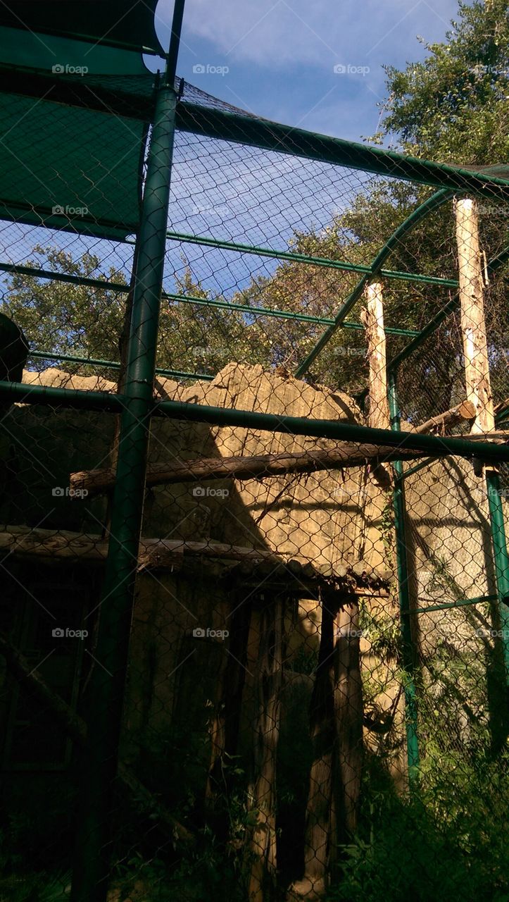 Fence, No Person, Outdoors, Wood, Wire