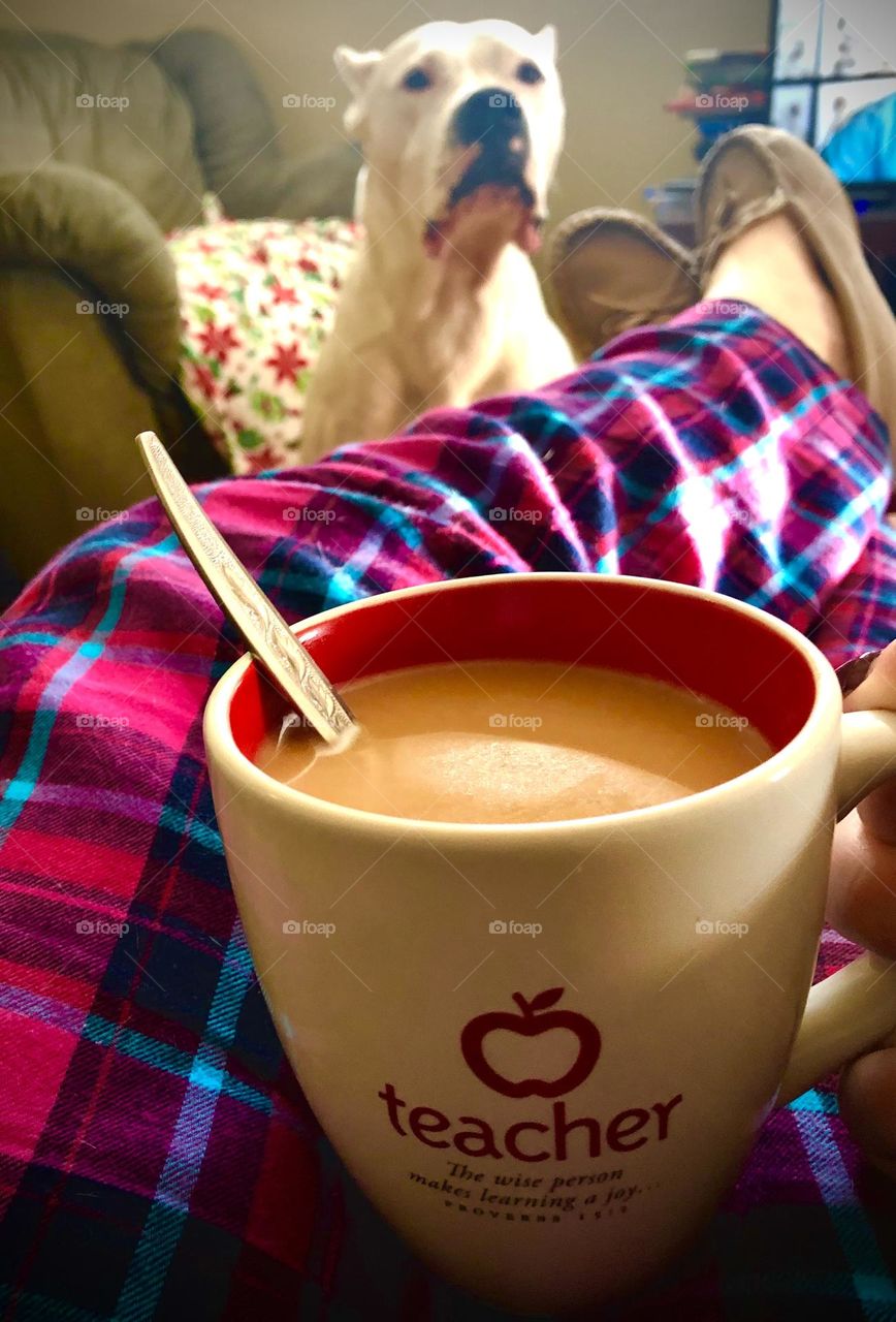 Cup of tea for the teacher while Lucian the Dogo Argentino is watching nearby