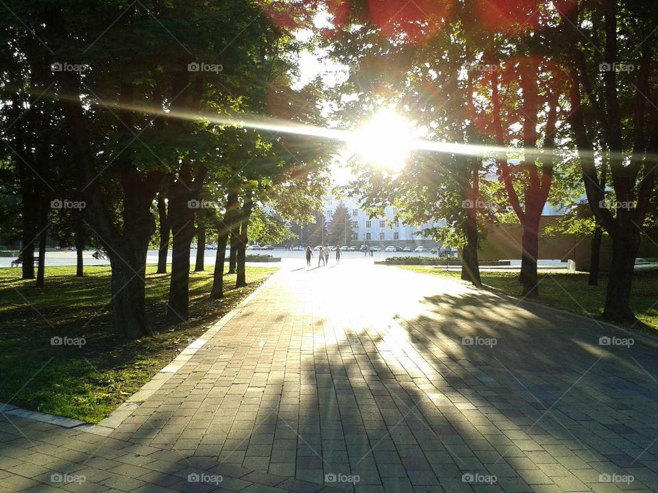 View of the sunset in the city park of Nalchik.