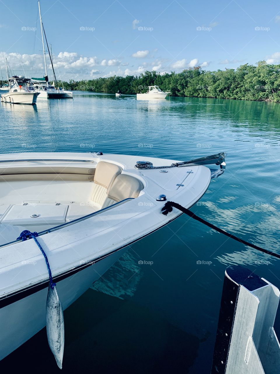 Amazing view in the bote