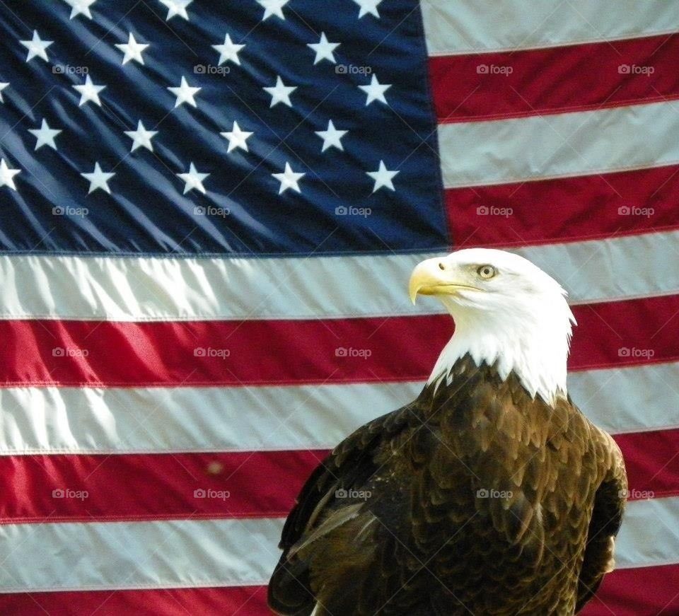 As American as it gets