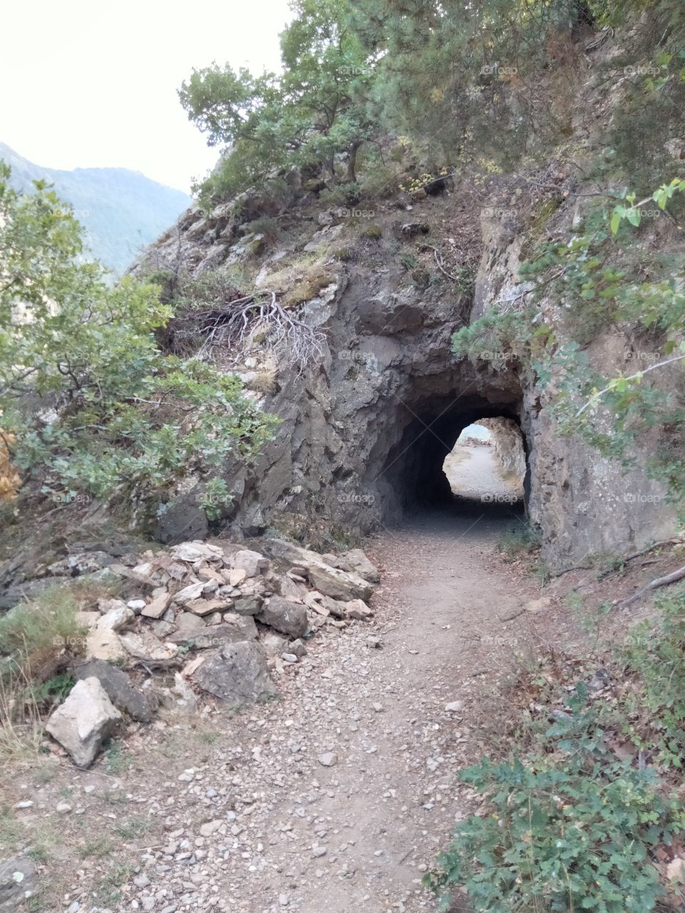 le tunnel