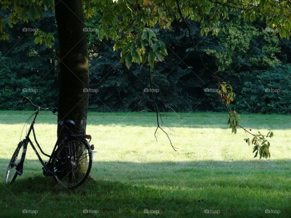 Lazy bicycle