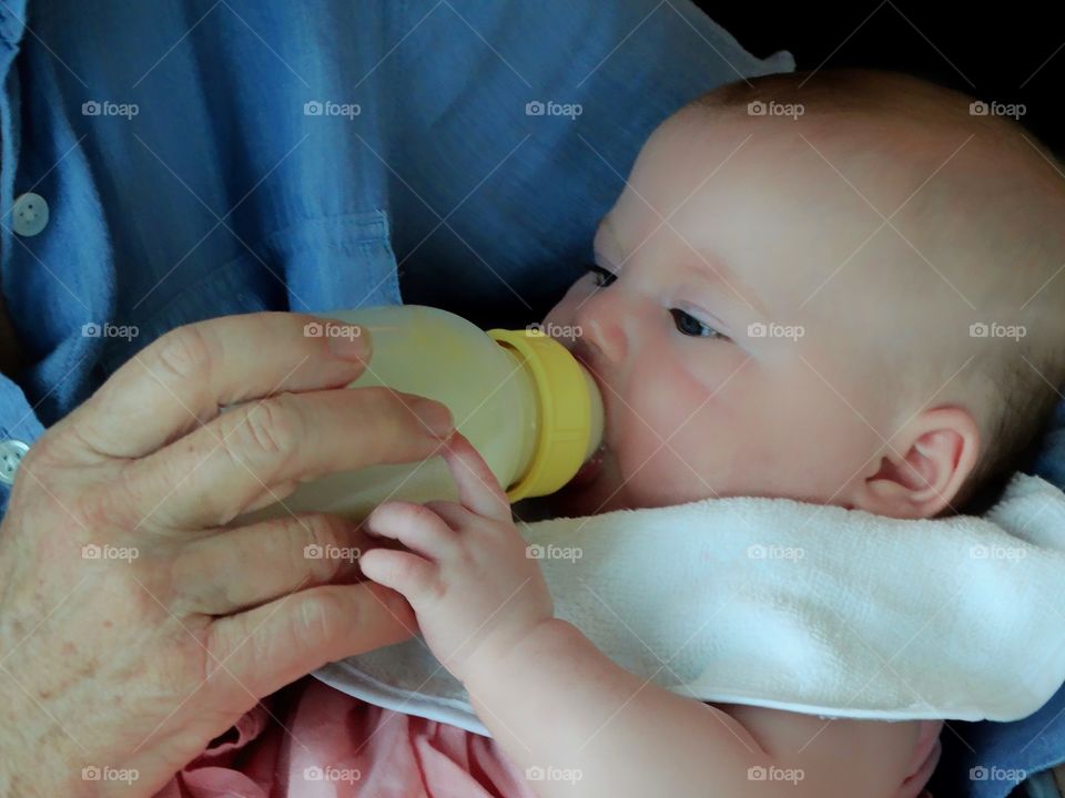 Newborn Drinking From A Bottle
