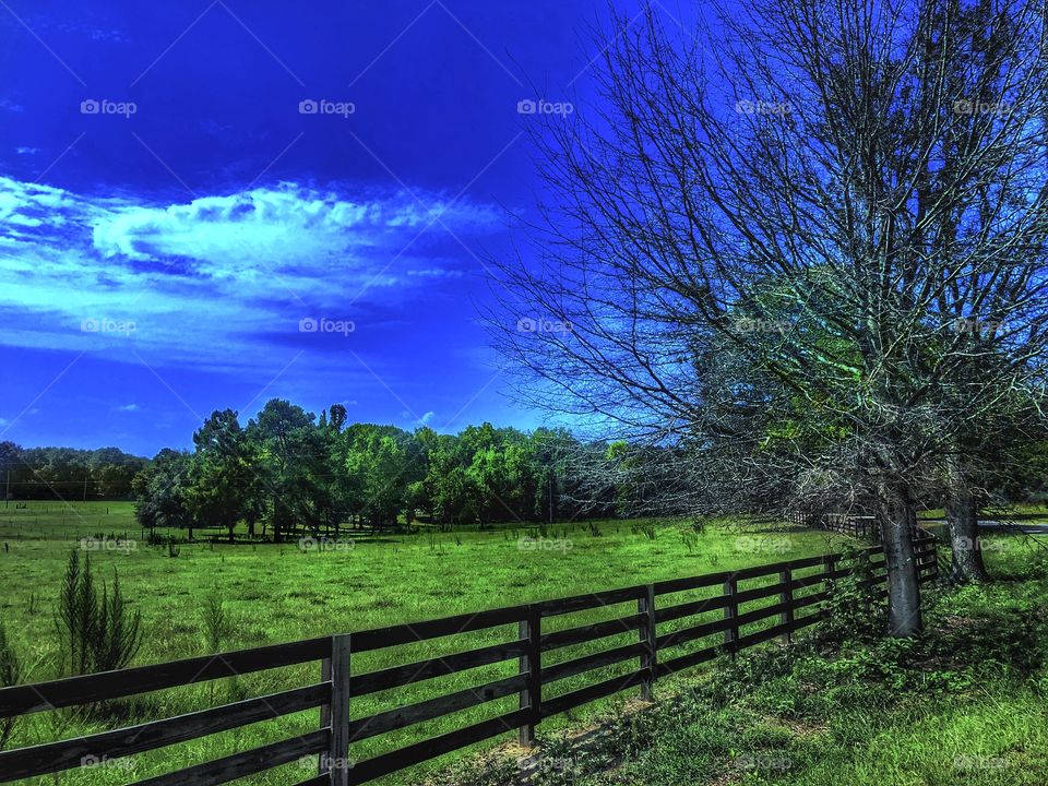 A Happy Little Picture 