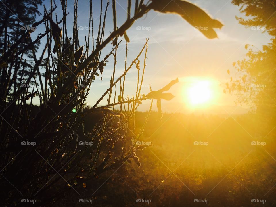 Sunset, Sun, No Person, Dawn, Evening