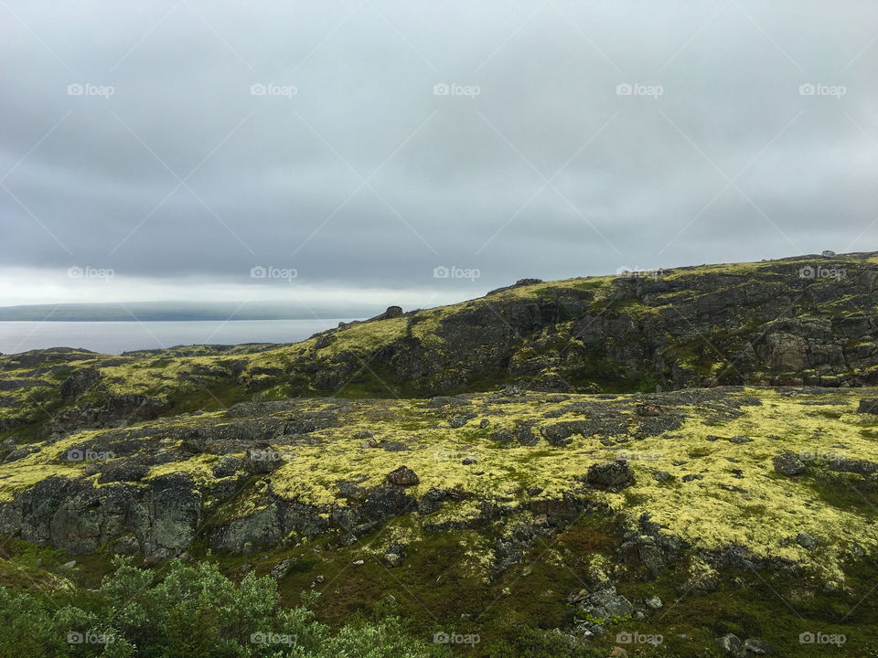 Rocks in tundra 