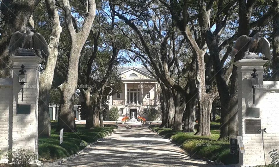 Longue Vue Plantation. beautiful home of former cotton trade company and Sears owners in New Orleans, LA.
