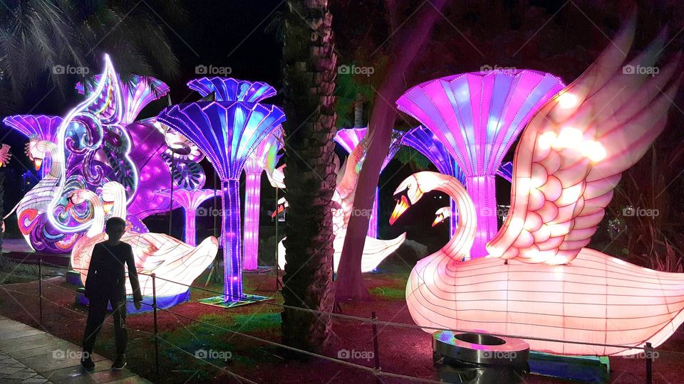 Dubai Glow Park.