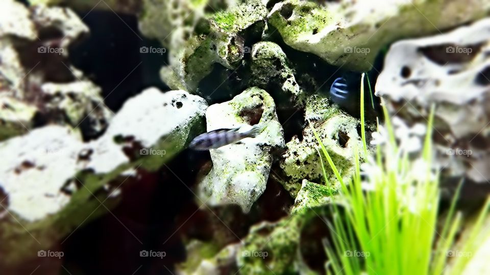 Their own little world