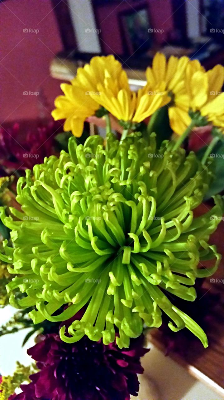 Spring flowers. Bright green and yellow spring flowers