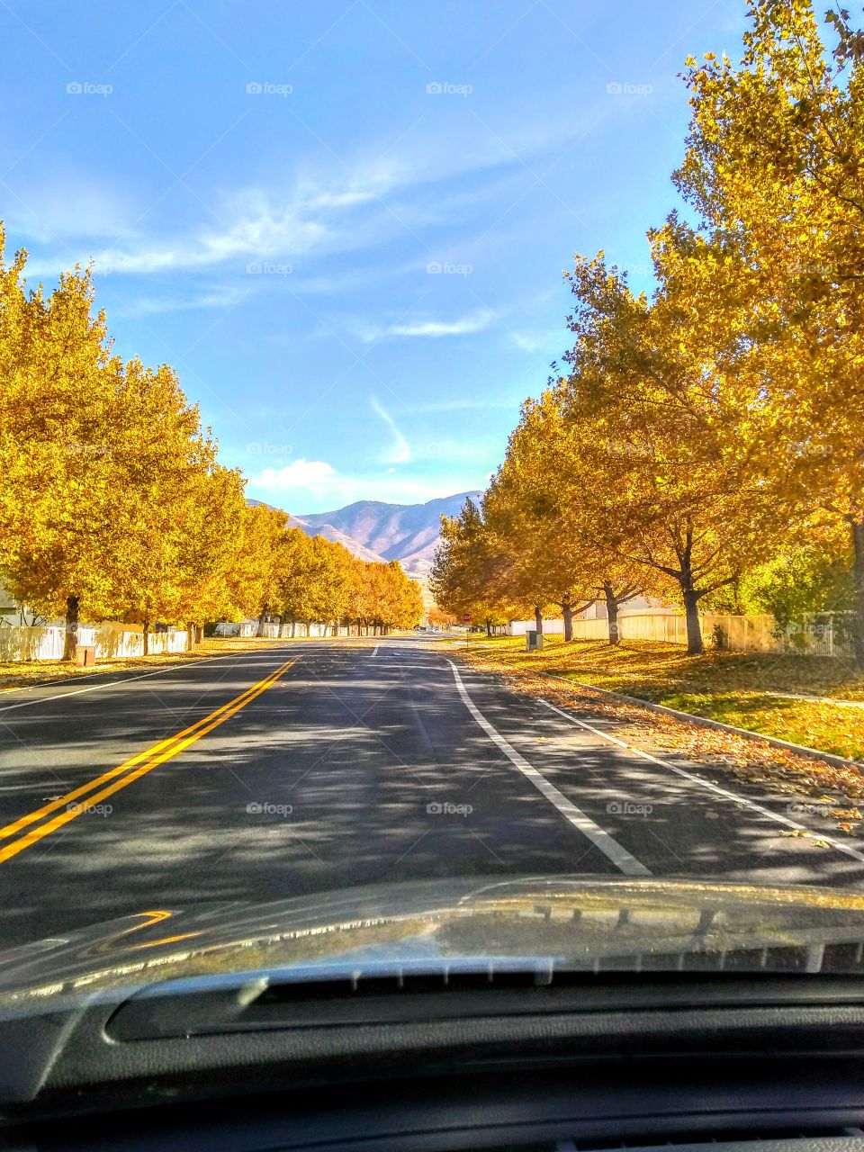 Fall drive