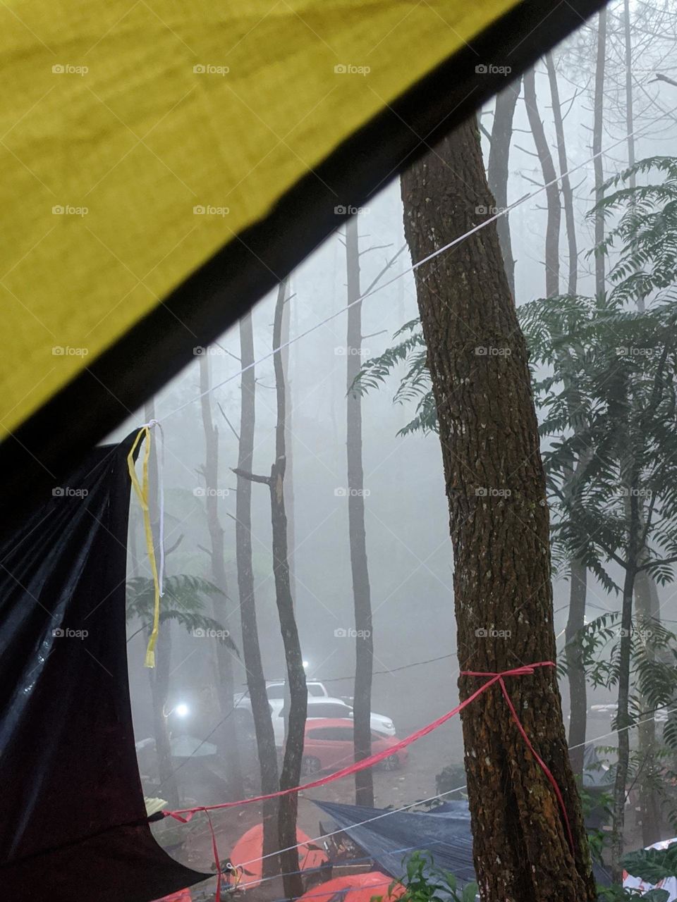 Camping in cold season