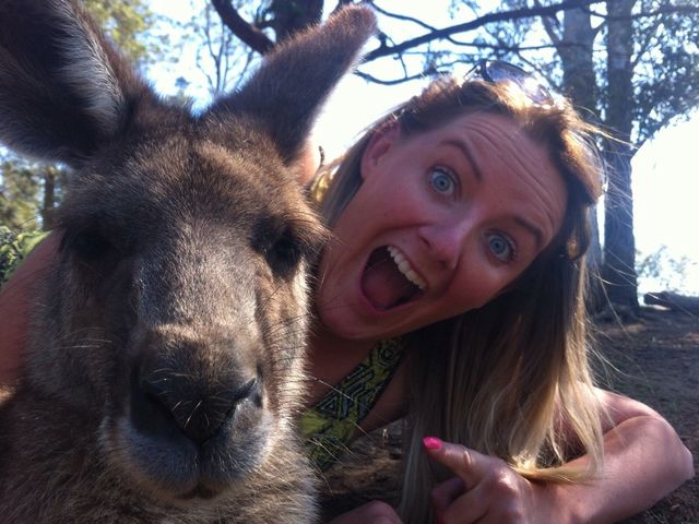Kangaroo