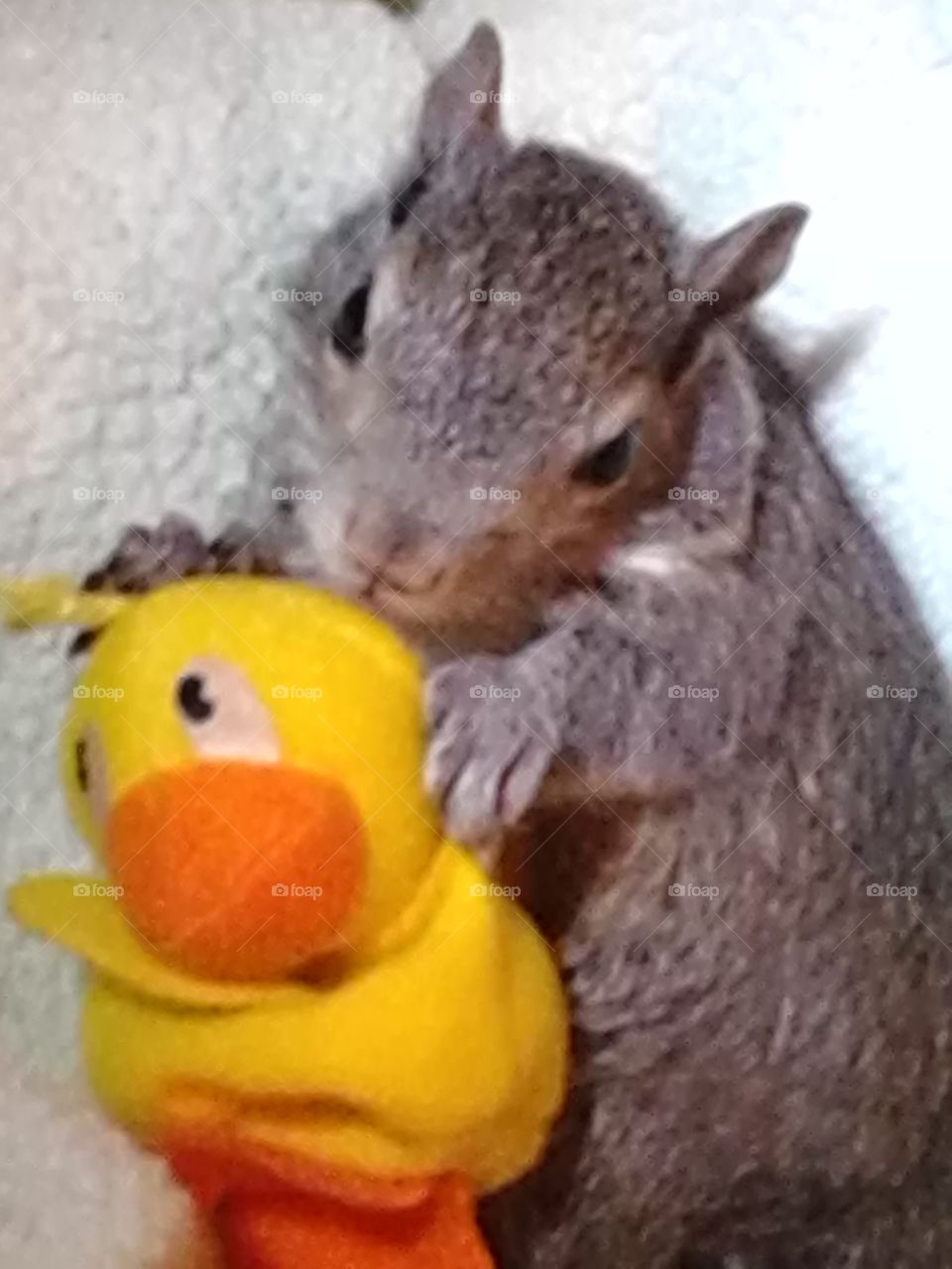 Hope and her ducky