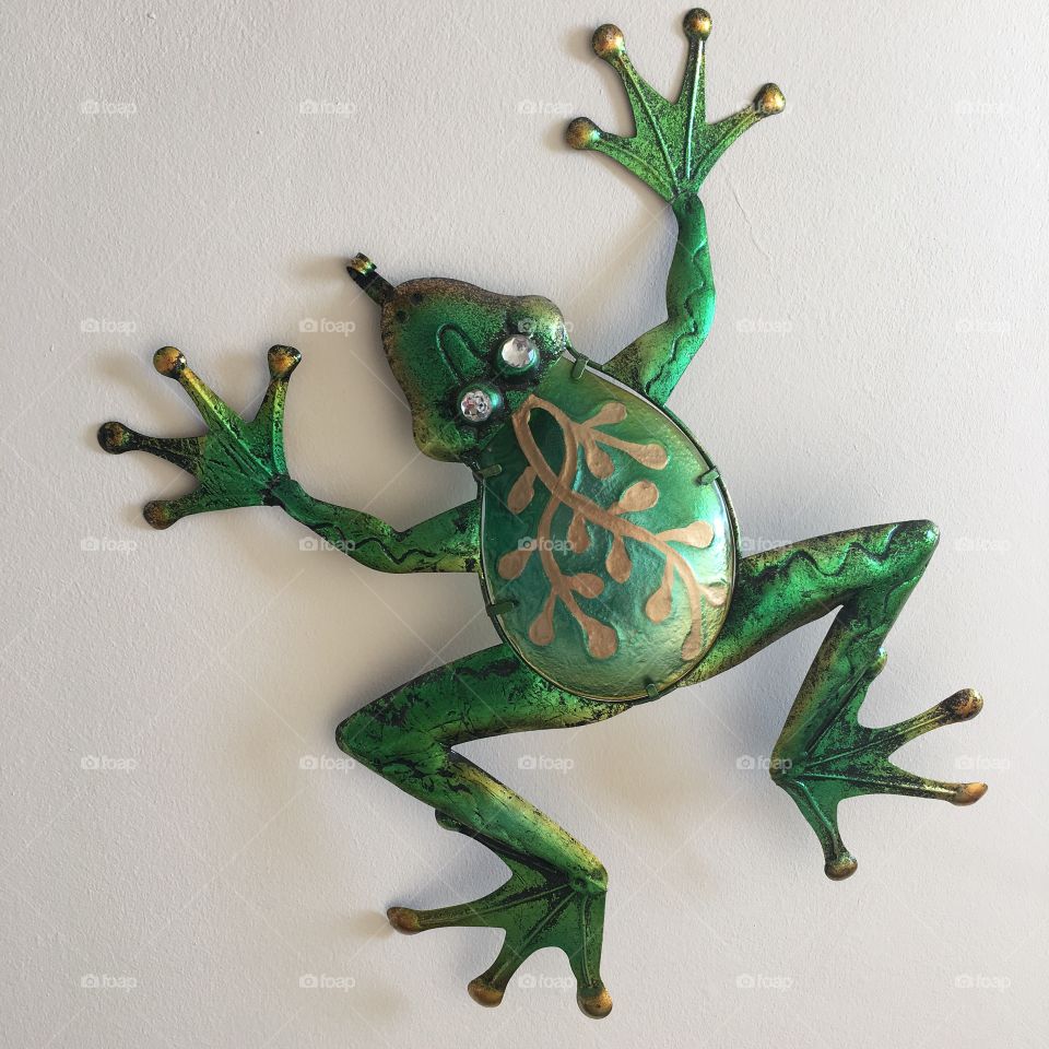 Wall art frog