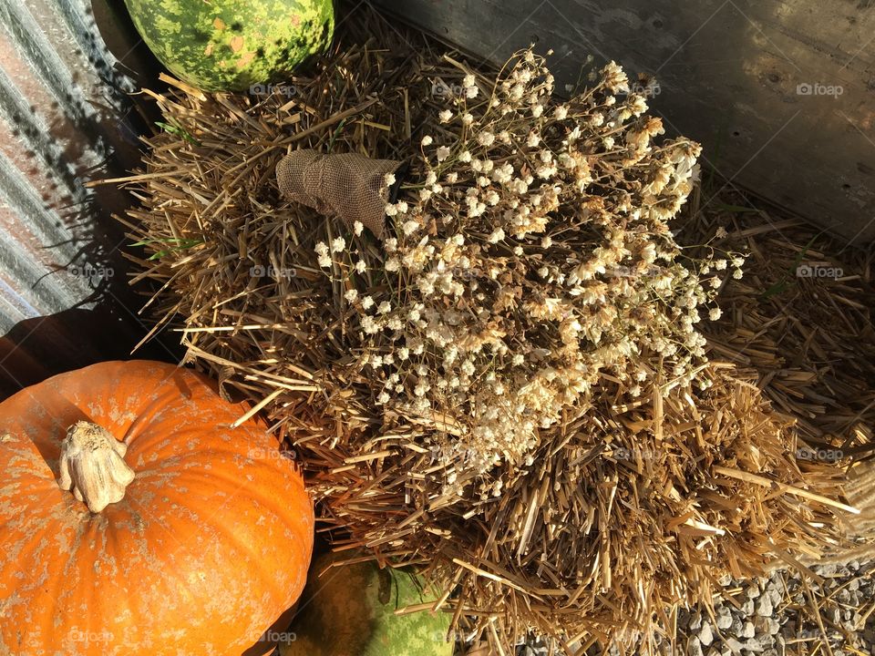 Rustic Bouquet 