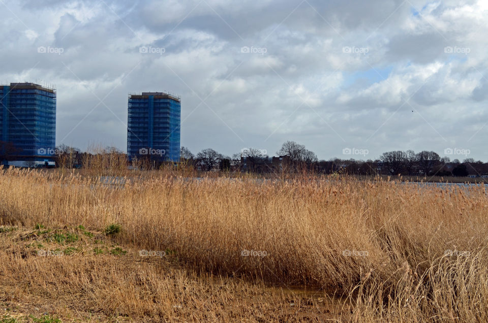 Woodberry Down nature reserve London