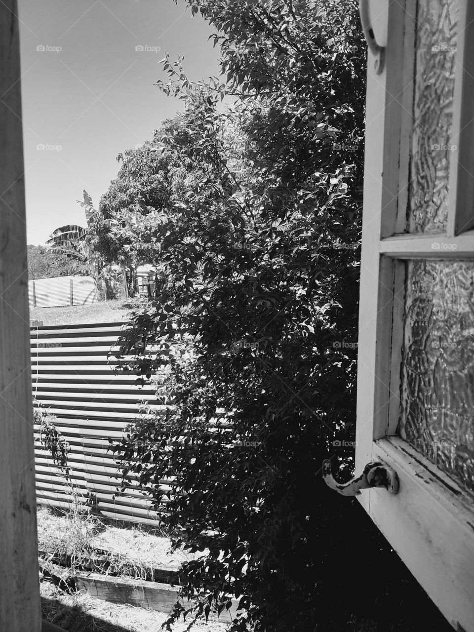 looking out the window