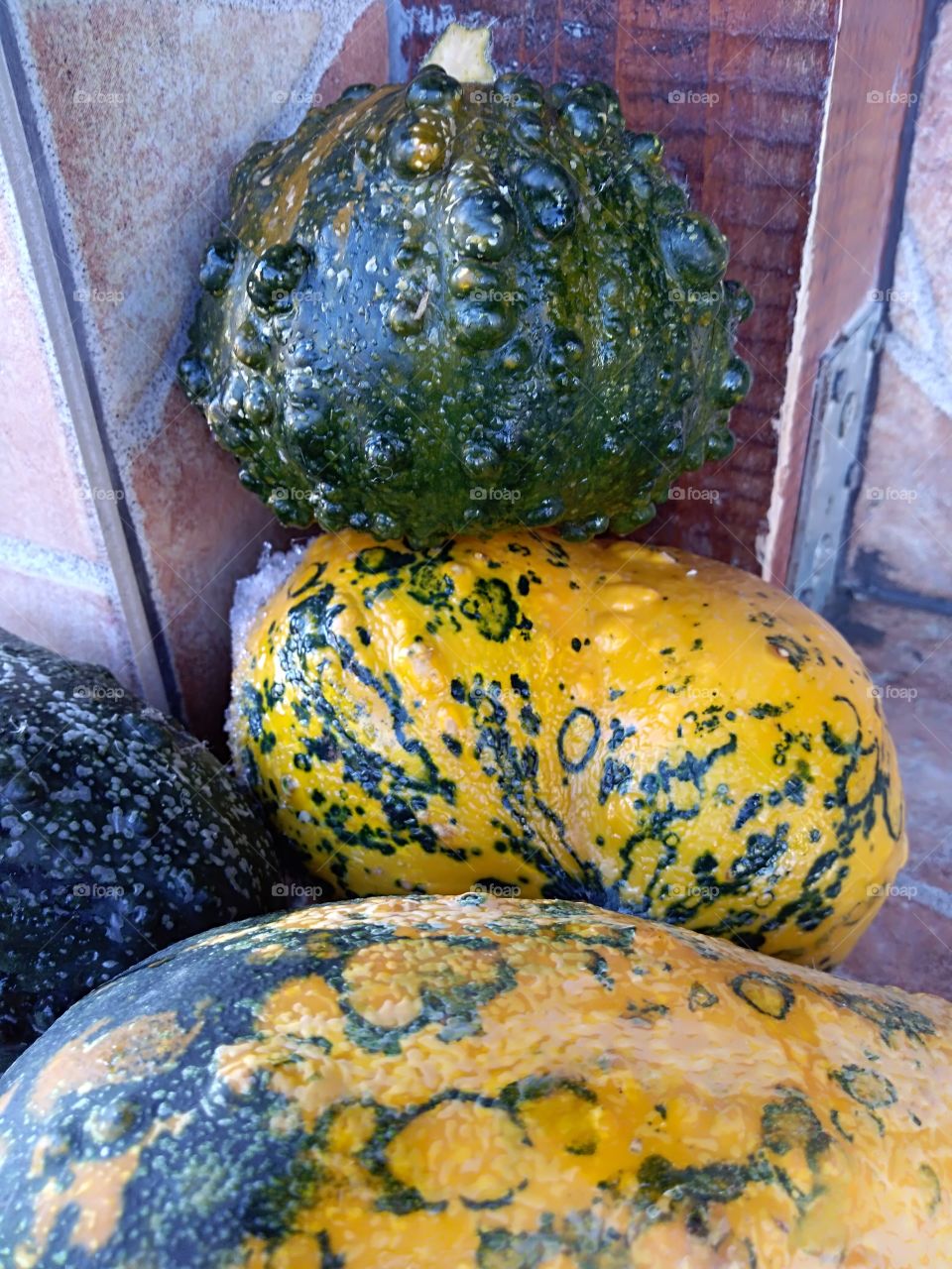 4 beautiful pumpkins