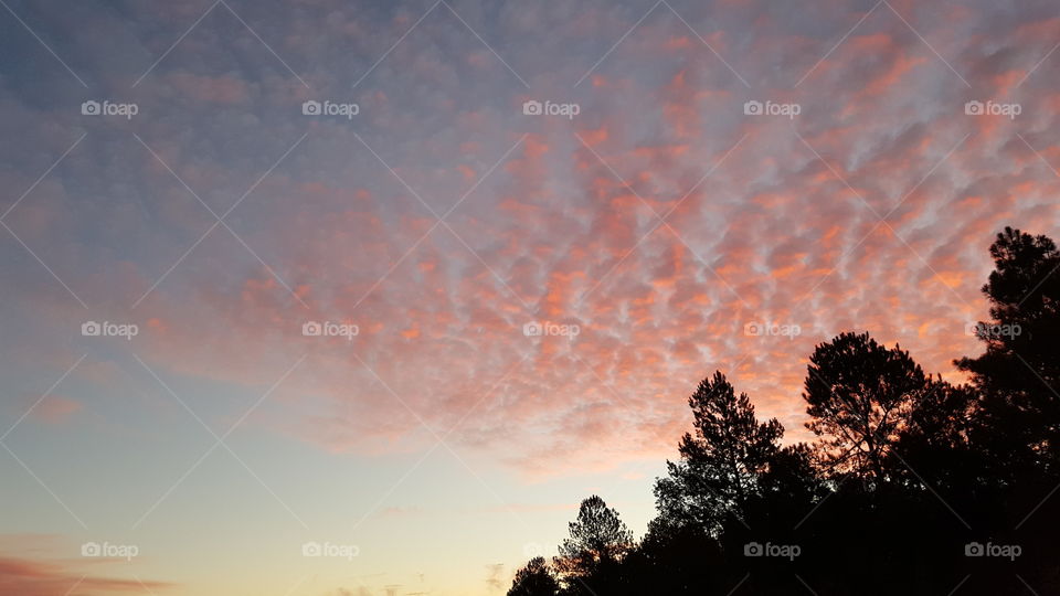 Scattered pink clouds