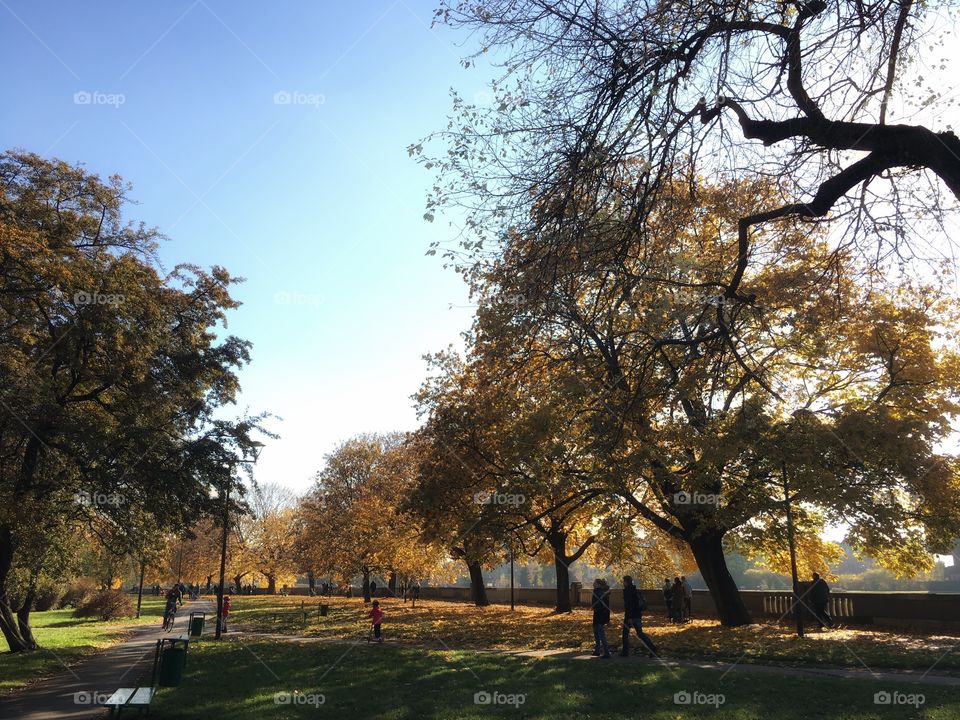 Autumn in the park