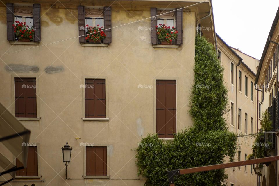 A beautiful view of the city walls decorated with green plants and flowers.  Italy May 2023.