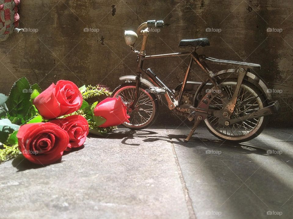 Bicycles and roses symbolize love