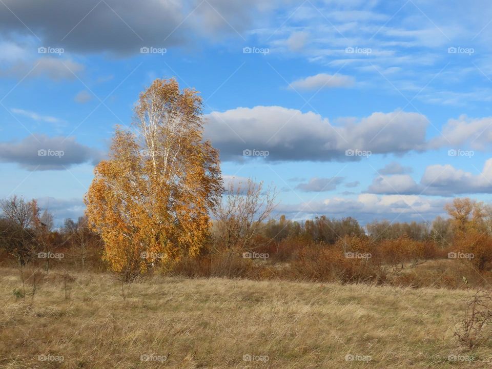 Autumn landscape