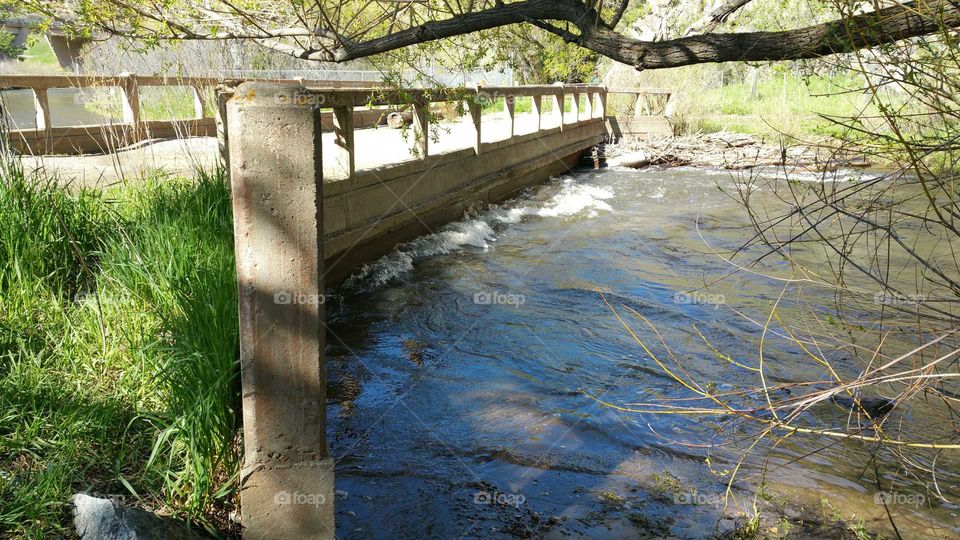 Hiking at Lair of theBear State Park! Look how high the water is !