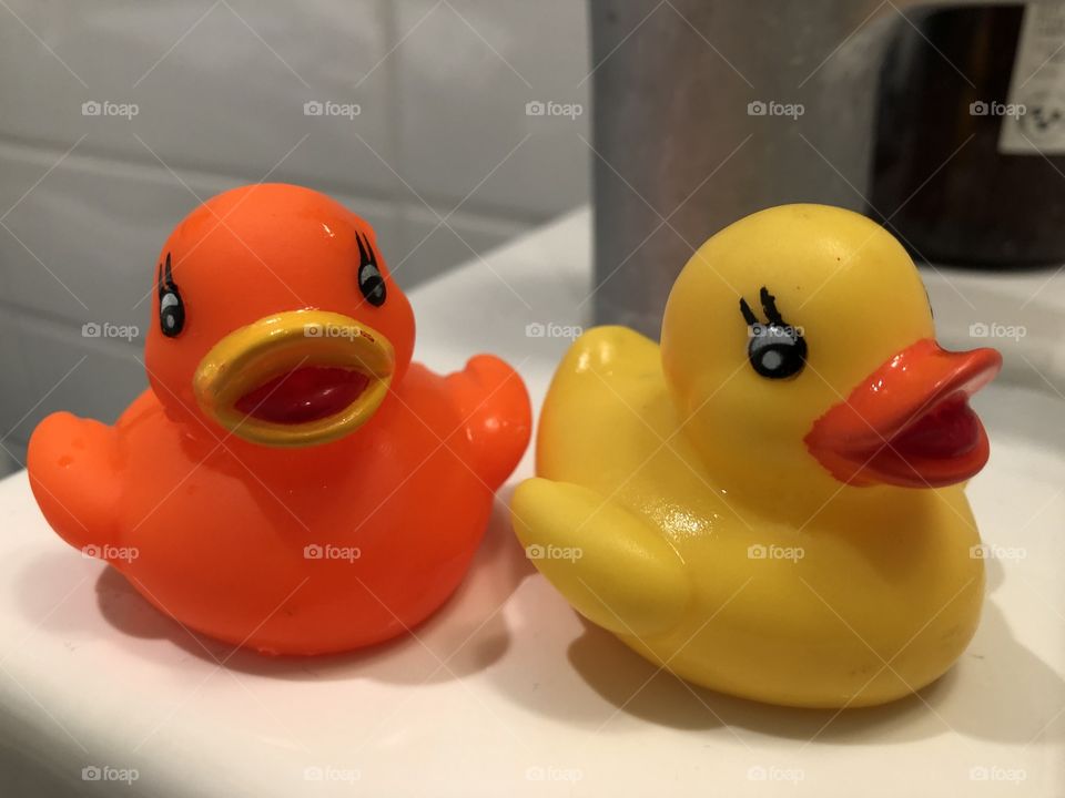 Ducks